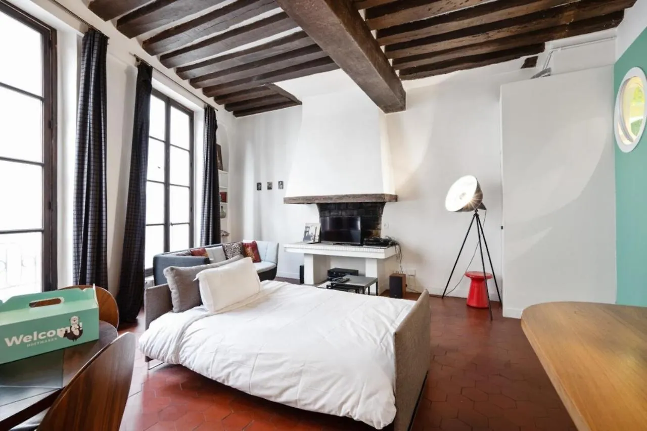 Parisian Apartment With Terrace In Saint Michel-Notre Dame